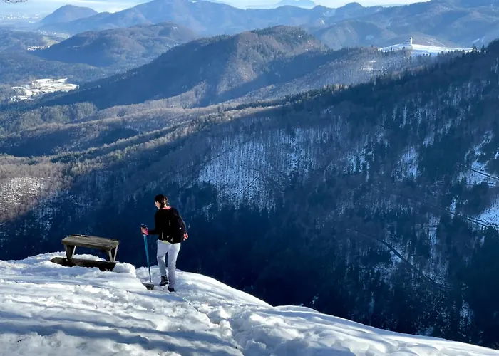 Semesterbostad Luxury Near Bled & The Alps *